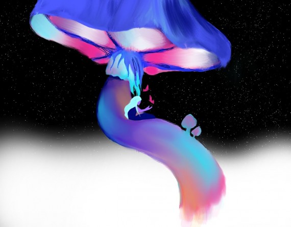 fotografie a animace 0